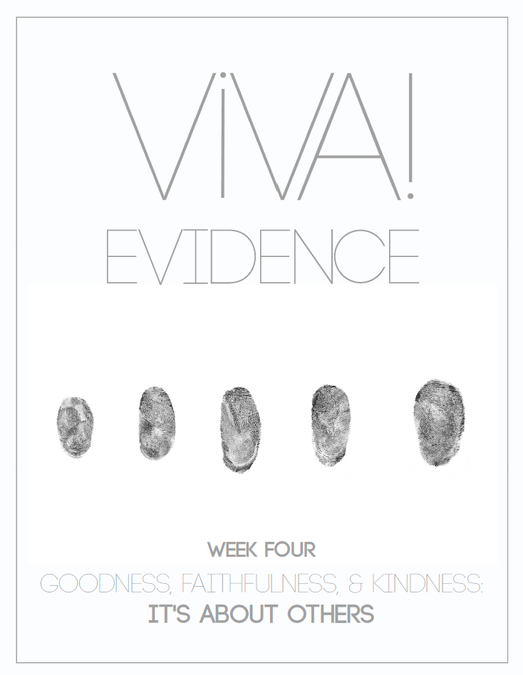 Viva! Evidence image number 5