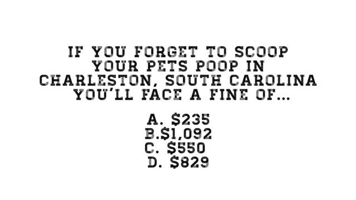 Poopity Scoop image number 7