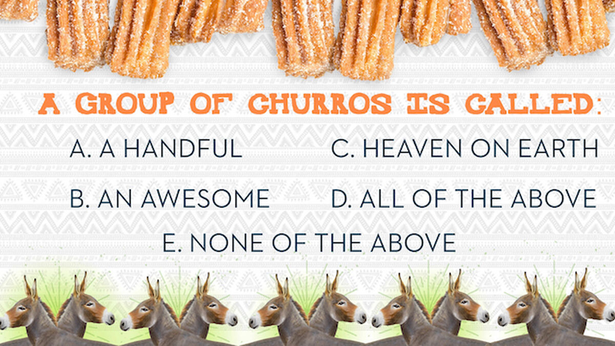 Churros and Burros image number 5