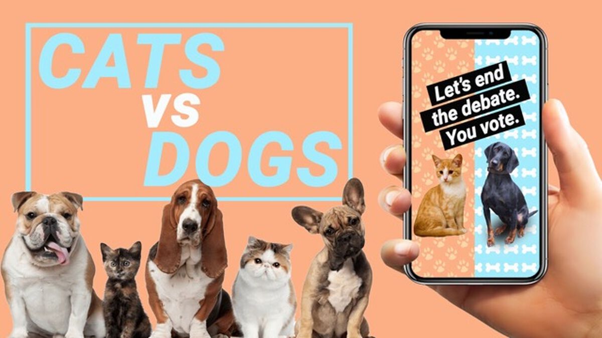 Cats vs Dogs - Story Edition image number 0