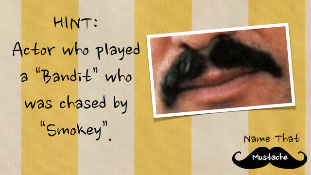 Name That Mustache image number null